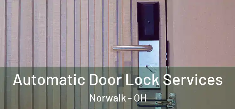 Automatic Door Lock Services Norwalk - OH