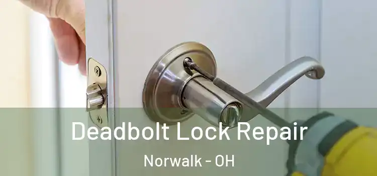 Deadbolt Lock Repair Norwalk - OH