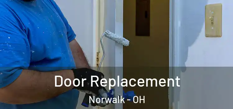 Door Replacement Norwalk - OH