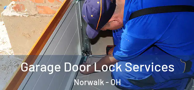 Garage Door Lock Services Norwalk - OH
