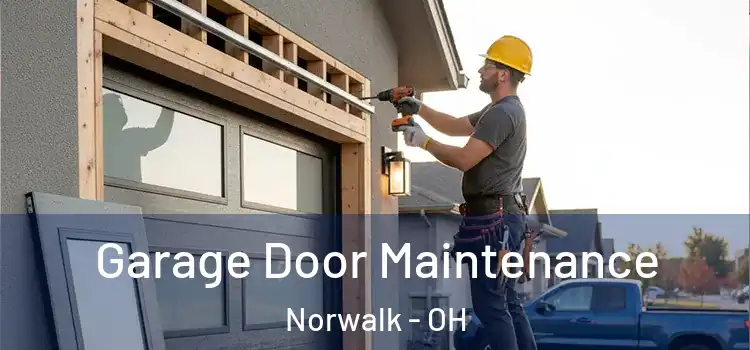 Garage Door Maintenance Norwalk - OH