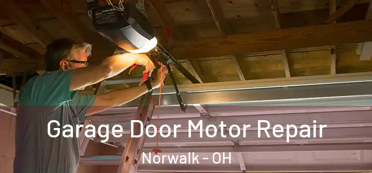  Garage Door Motor Repair Norwalk - OH