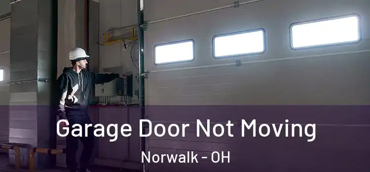  Garage Door Not Moving Norwalk - OH