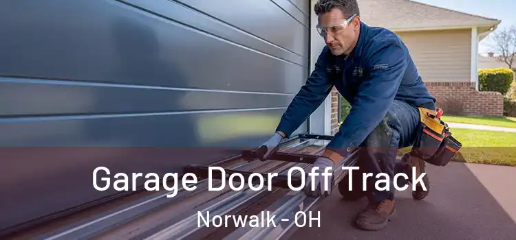  Garage Door Off Track Norwalk - OH