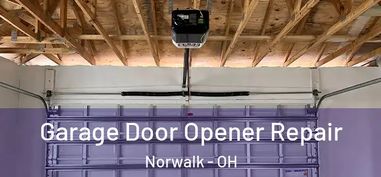 Garage Door Opener Repair Norwalk - OH