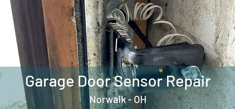 Garage Door Sensor Repair Norwalk - OH