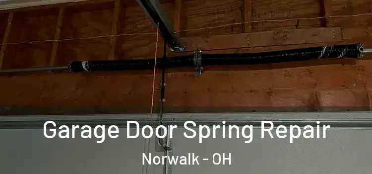  Garage Door Spring Repair Norwalk - OH