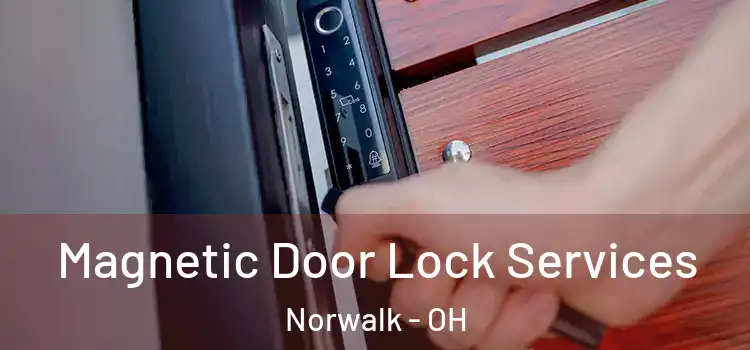 Magnetic Door Lock Services Norwalk - OH