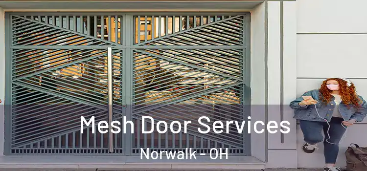 Mesh Door Services Norwalk - OH