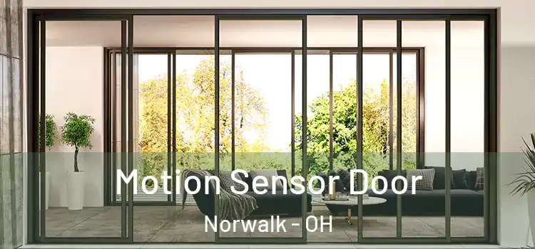 Motion Sensor Door Norwalk - OH