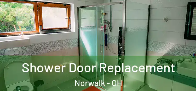 Shower Door Replacement Norwalk - OH