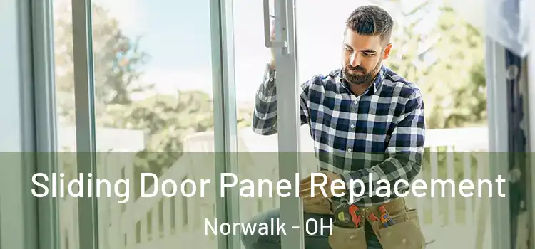  Sliding Door Panel Replacement Norwalk - OH